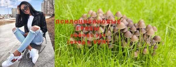 не бодяженный Армянск