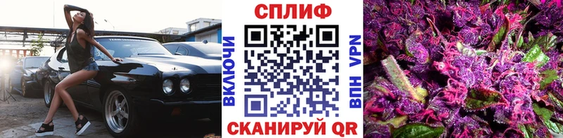 закладки  Судак  omg маркетплейс  Шишки марихуана план 